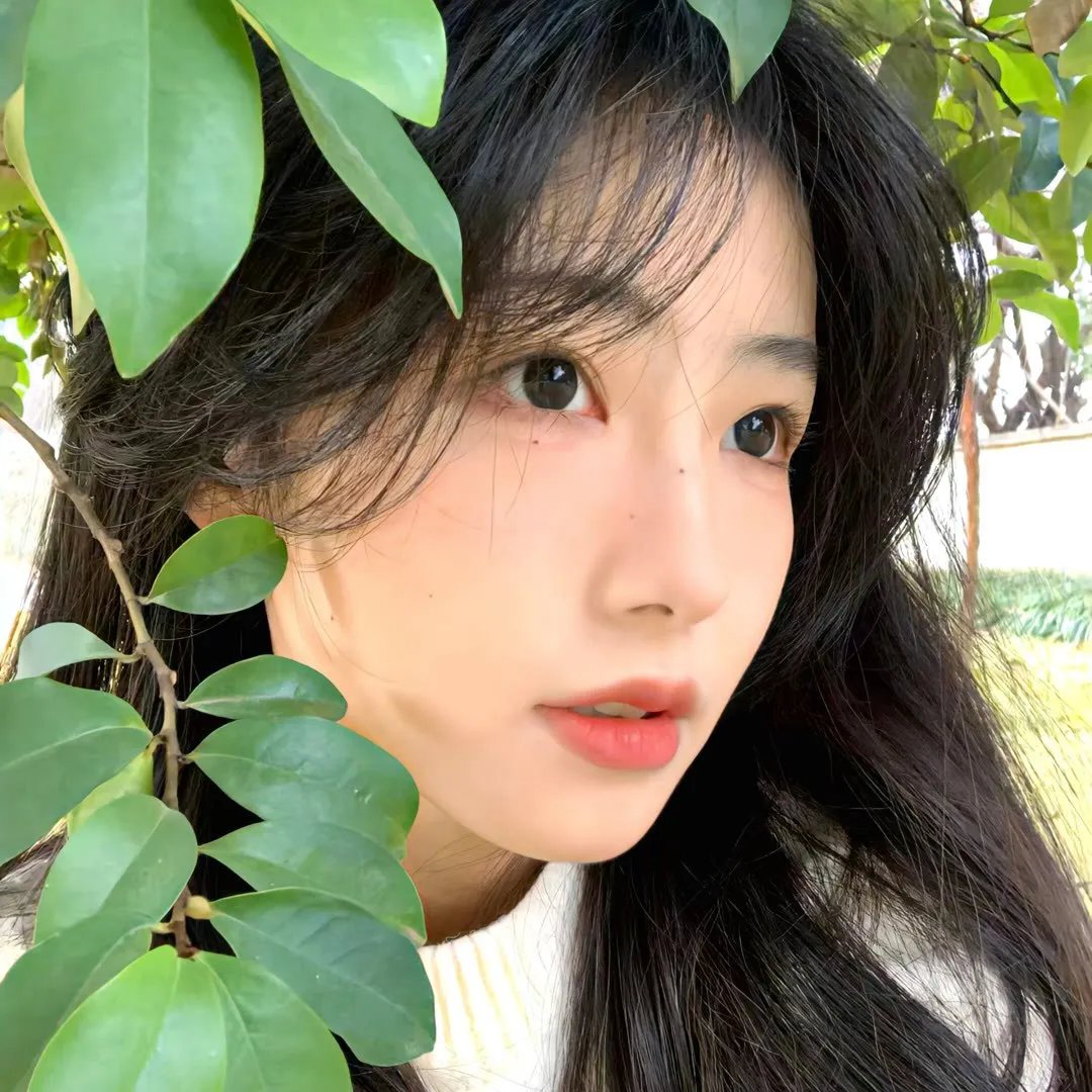 风尘三怪